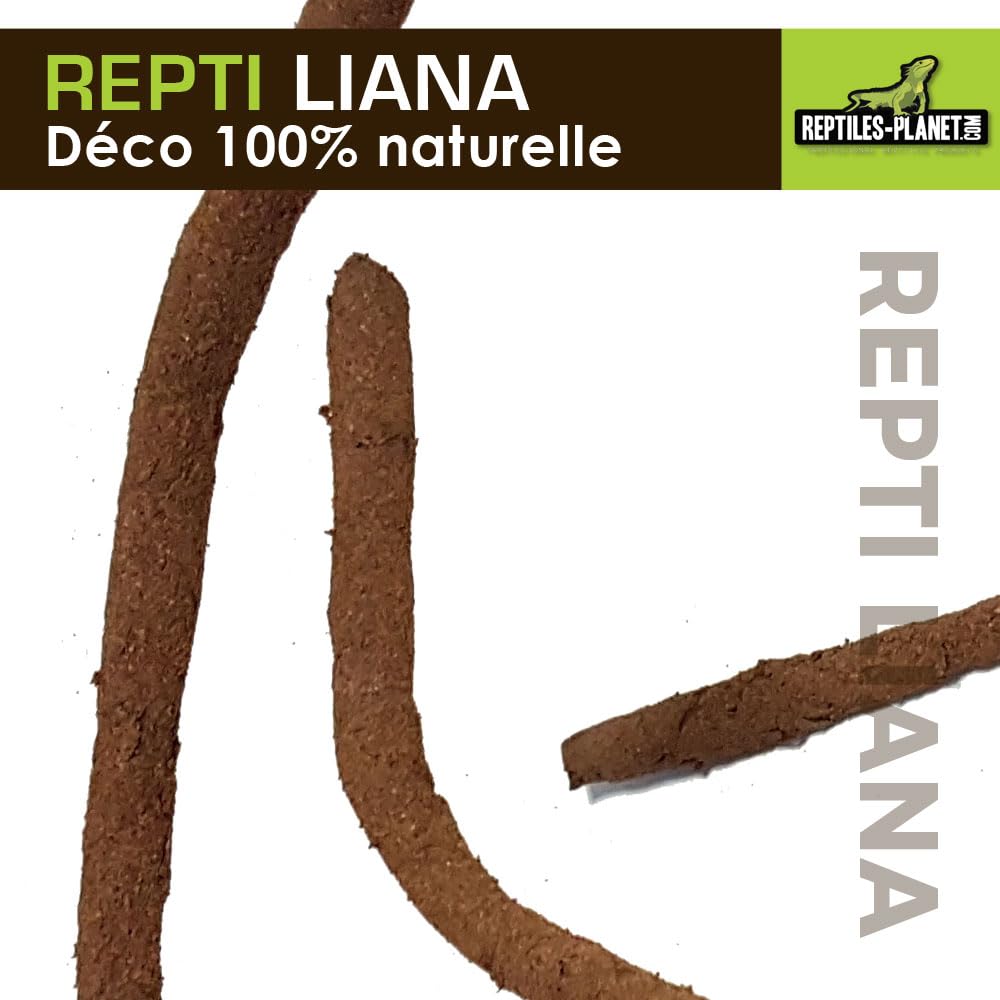 REPTILES PLANET - Repti Liana - Décoration pour Terrarium - 125 cm