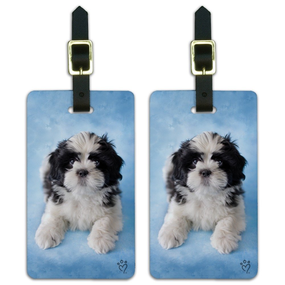 Shih Tzu Dog Black White on Blue Luggage ID Tags Carry-On Cards - Set of 2