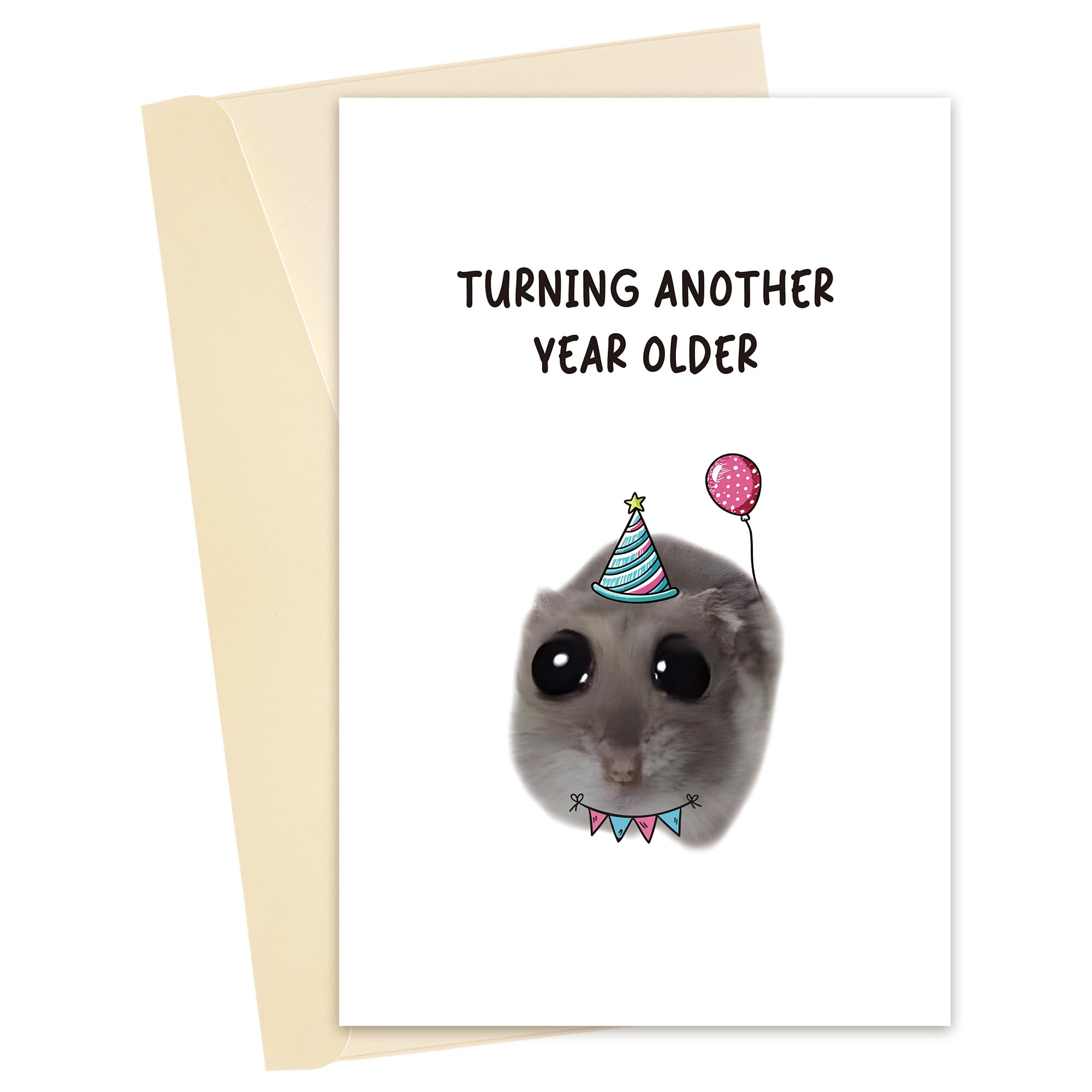 Heyshoo Sad Hamster Meme Birthday Card, Funny Cute Hamster Bday Card for Him Her, Hilarious Turning Another Year Older