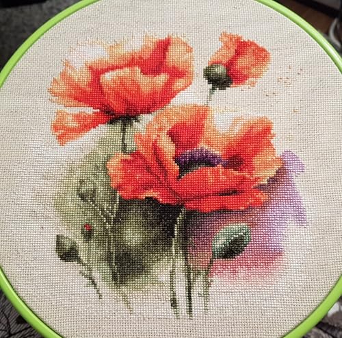 Image of Luca-S Cross Stitch Kit, The Poppy Flowers, Counted Cross Stitch Kit for Adults, Embroidery Kit, B7024