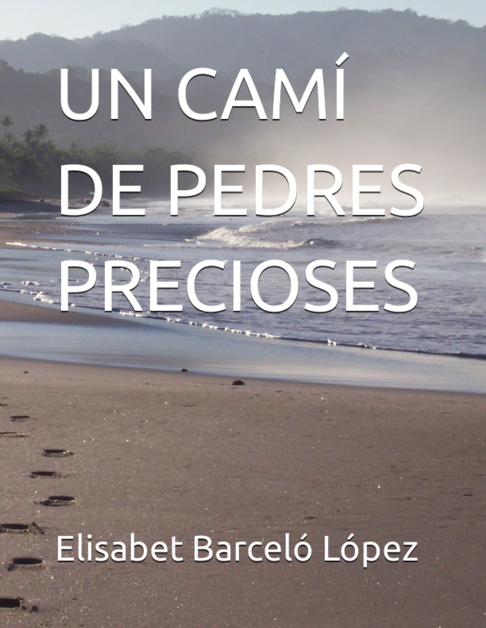 UN CAMÍ DE PEDRES PRECIOSES