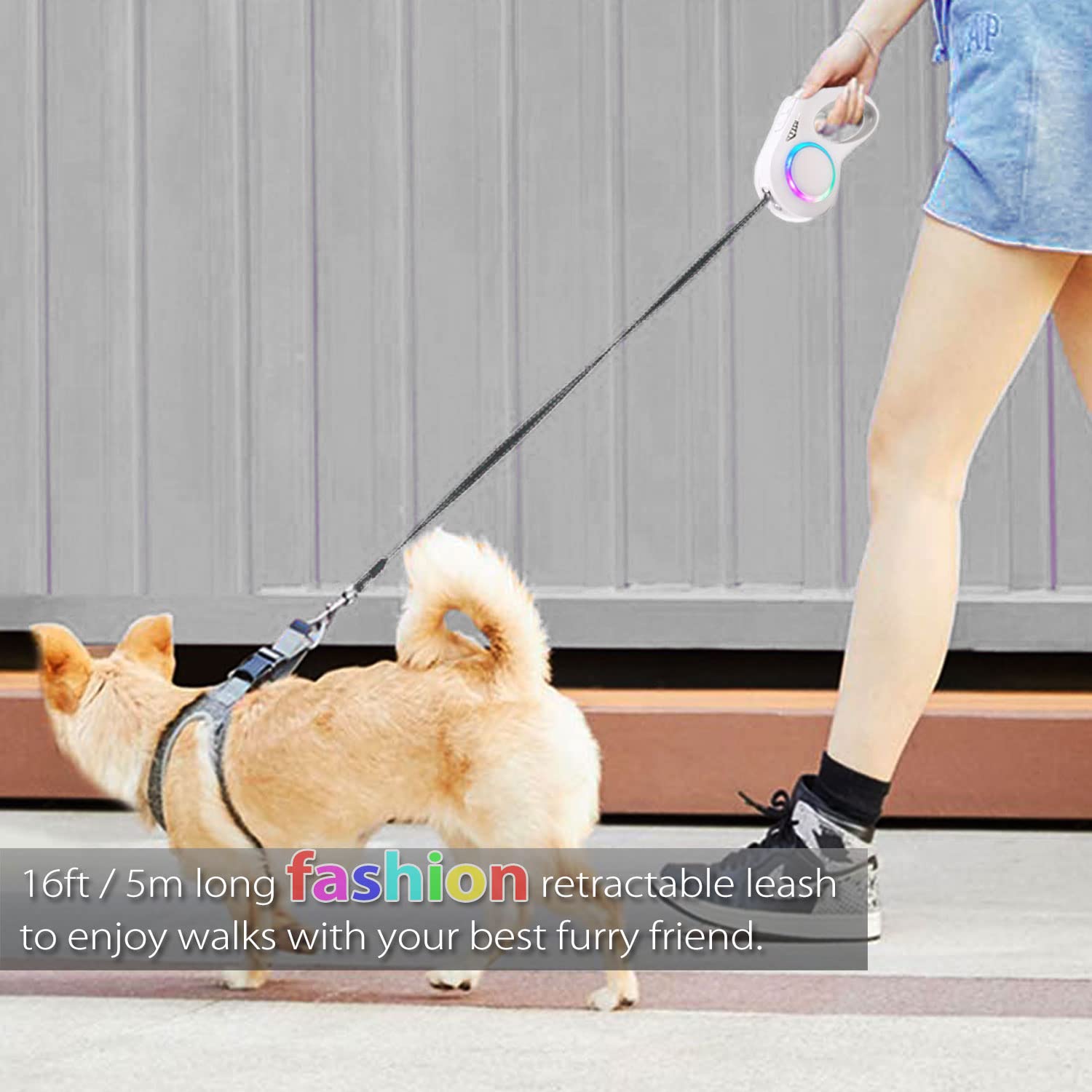 Laisse rétractable pour chiens de petite et moyenne taille pesant jusqu'à 27,2 kg – 4,9 m – Laisse rétractable avec lumière LED – Rechargeable, anti-nœuds et poignée antidérapante (blanc, 4,9 m)