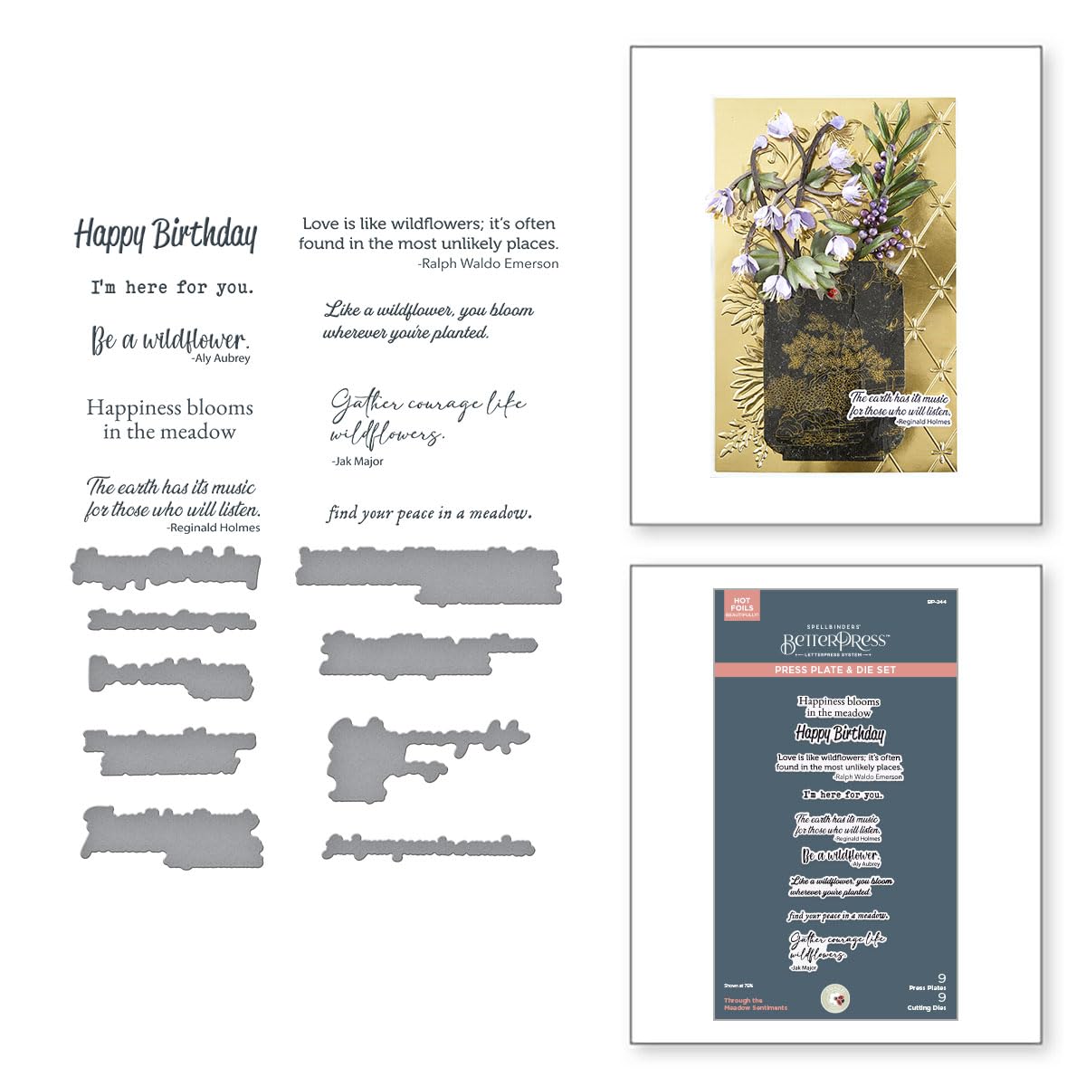 Spellbinders Metal Through The Meadow Sentiments Betterpress Plate & Die Set From The Through The Meadow Collection By Susan Tierney-Cockburn