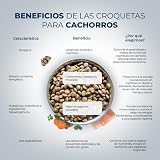 Ver la foto 3