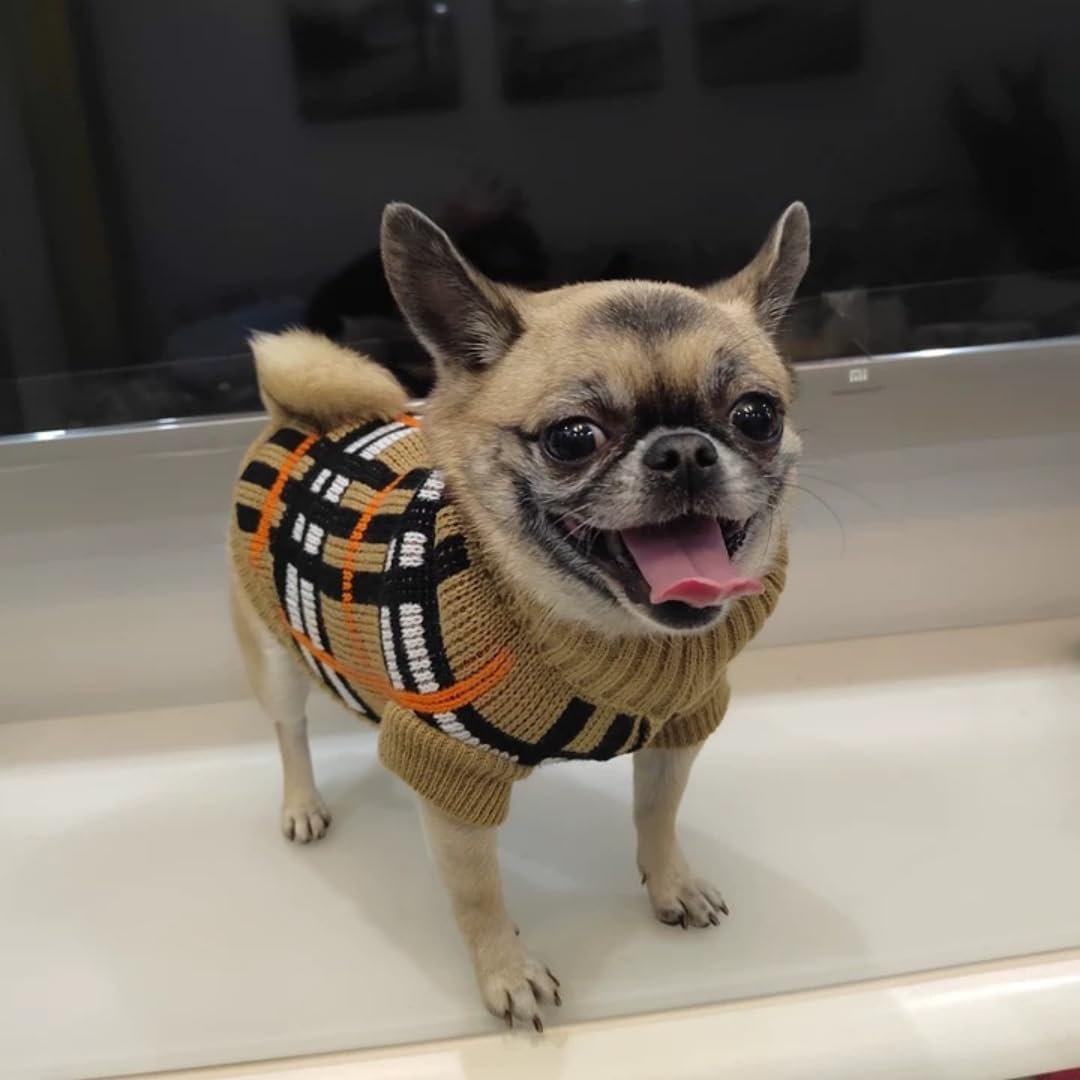 Small Dog & Cat Jumper, Knitted Sweater Pullover for Toy Breeds, Chihuahua, Teacup Poodle, Yorkie, Kitten, Soft Turtleneck - Image 3
