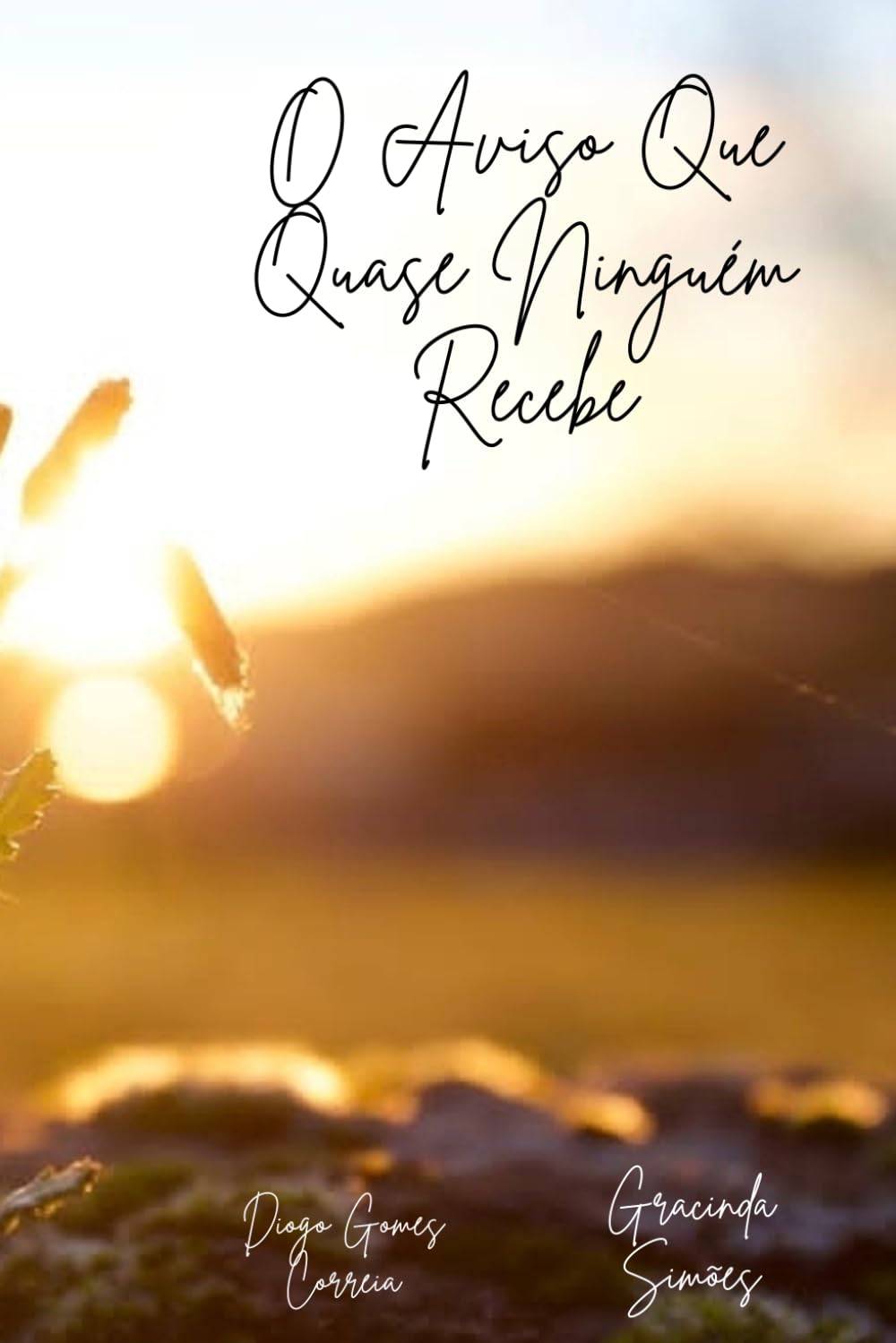 O Aviso Que Quase Ninguém Recebe: O guia que faltava para crescer com propósito e consciência
