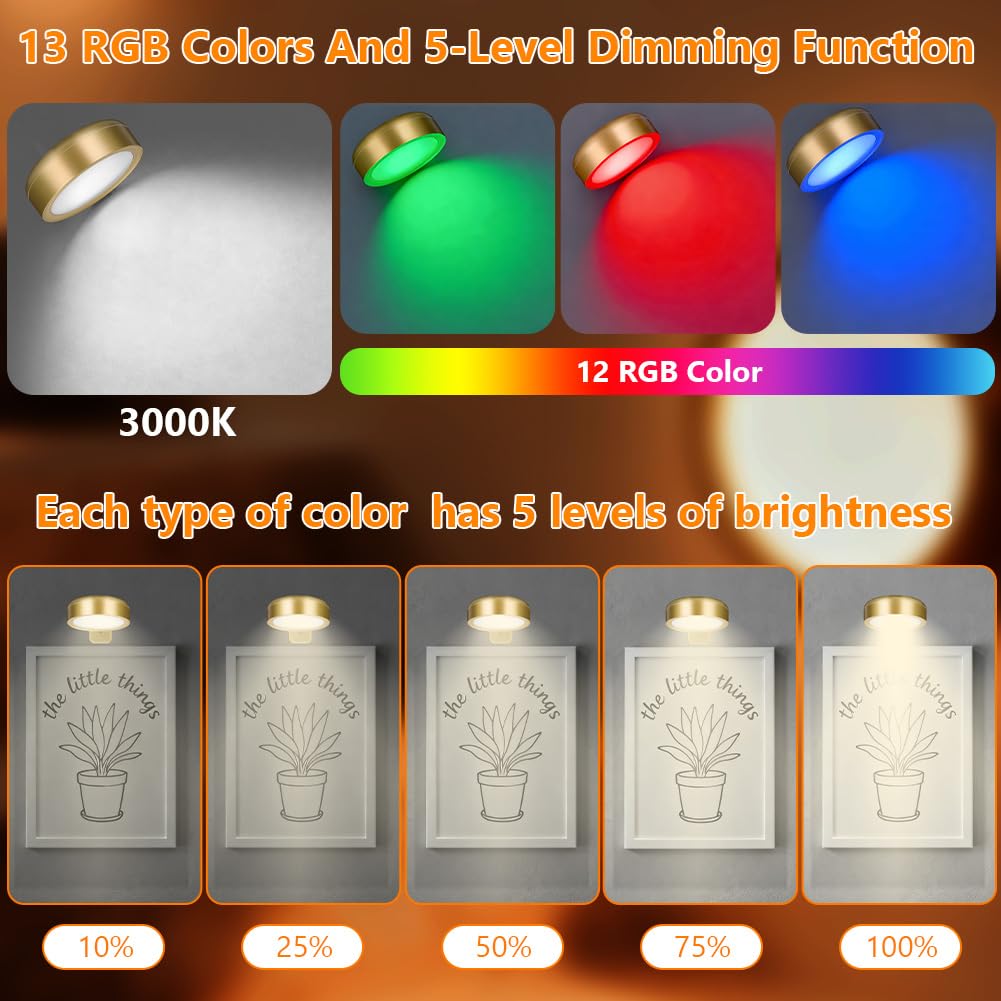 Luce per Quadri Senza Fili con Telecomando, 3PCS Luce per Quadro Senza Fili, 13 RGB Luci LED Magnetiche Wireless Ricaricabili, Timer Dimmerabile per Esposizione Pittura Vetrina, Oro