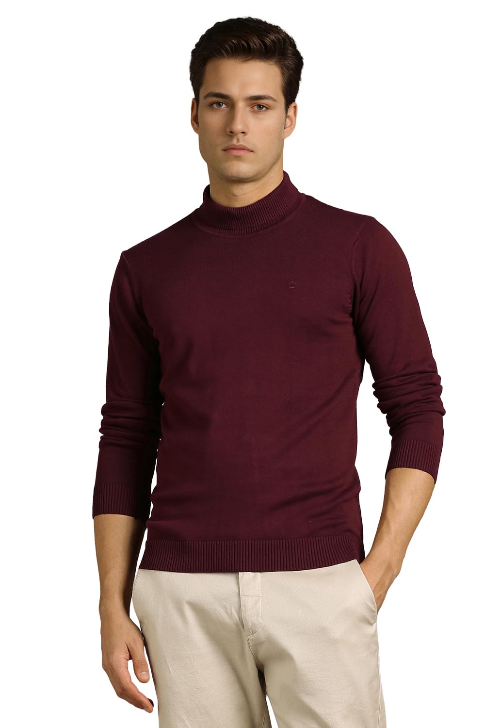 louis philippe Men Sweater-picture-31