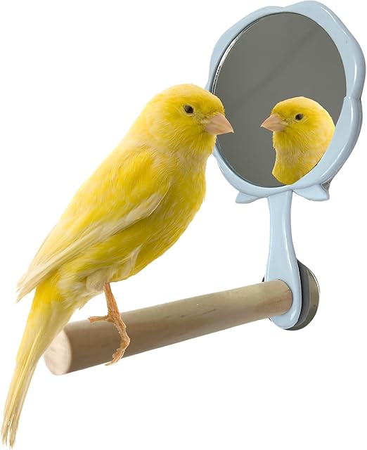 Bird Mirror with Perch - Easy Cage Install, Ideal for Parakeets Cockatiels Conures Lovebirds Finch Canaries Budgies, Wooden Bird Toys (2 Pack)