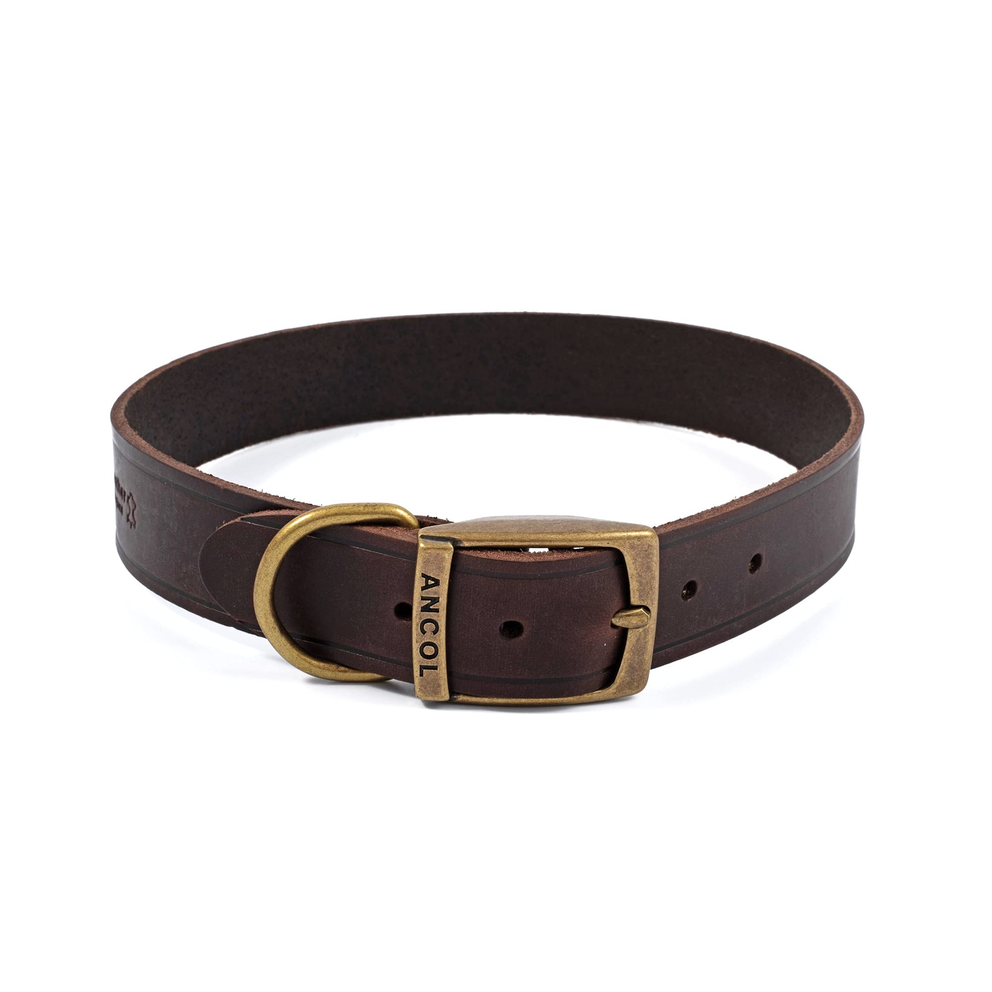 Ancol Latigo Flexible Stretchy Dog Collar Havana Leather Pet Training Accessory with Antique Gold Fixings - Soft and Resilient - Size 8 - 55-63 cm
