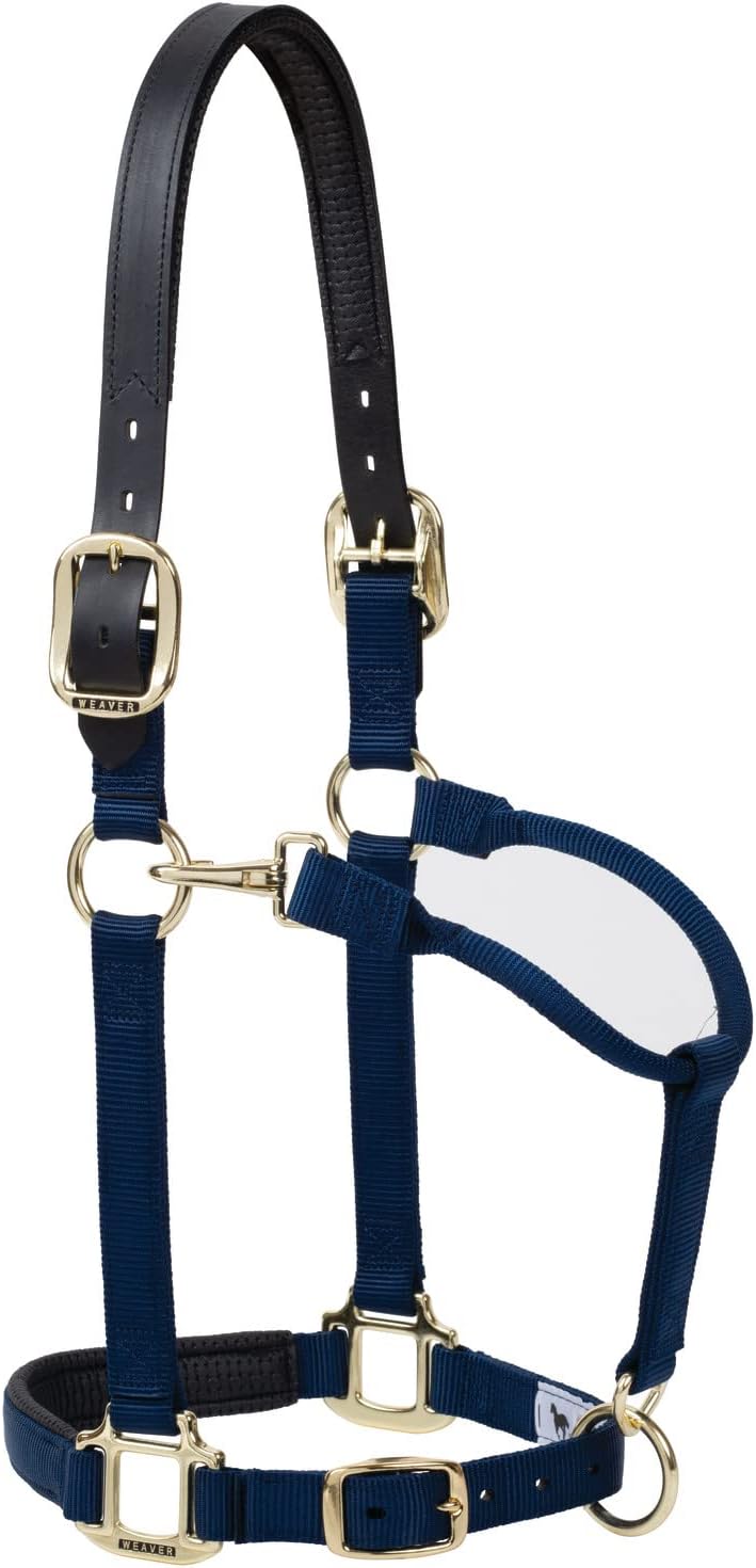 Weaver Equine Breakaway Horse Halter, Supple Leather Crown, Adjustable Brass Throat Snap Halters for Horses, Equine Tack