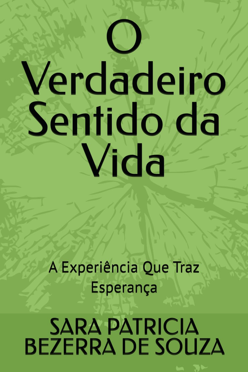 O Verdadeiro Sentido da Vida: A Experiência Que Traz Esperança