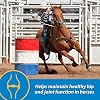 Farnam Fluidflex Liquid Joint Supplement for Horses, Helps Maintain Healthy Hip & Joint Function, 32 Ounces 32 Day Supply