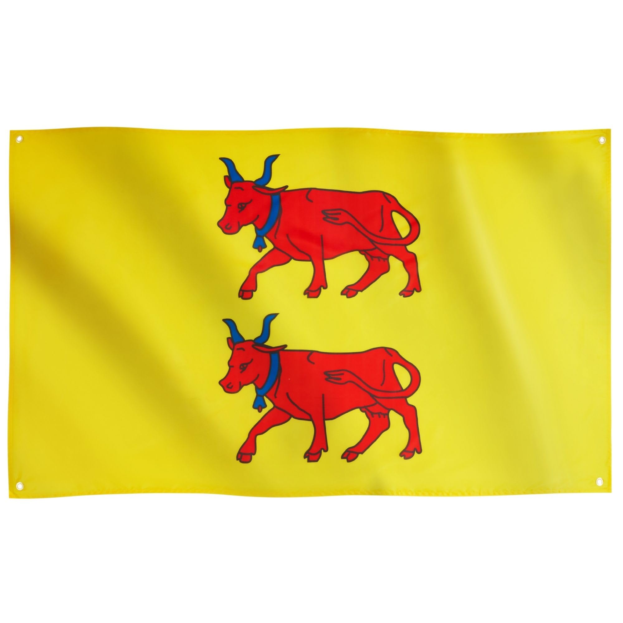 Runesol Province of Barn Flag, 91x152cm, 3ftx5ft, Pyrnes-Atlantiques Flag, 4 Grommets, Eyelet In Every Corner, French Region Banner, Premium Flags, Inside, Outside, Vivid Colours