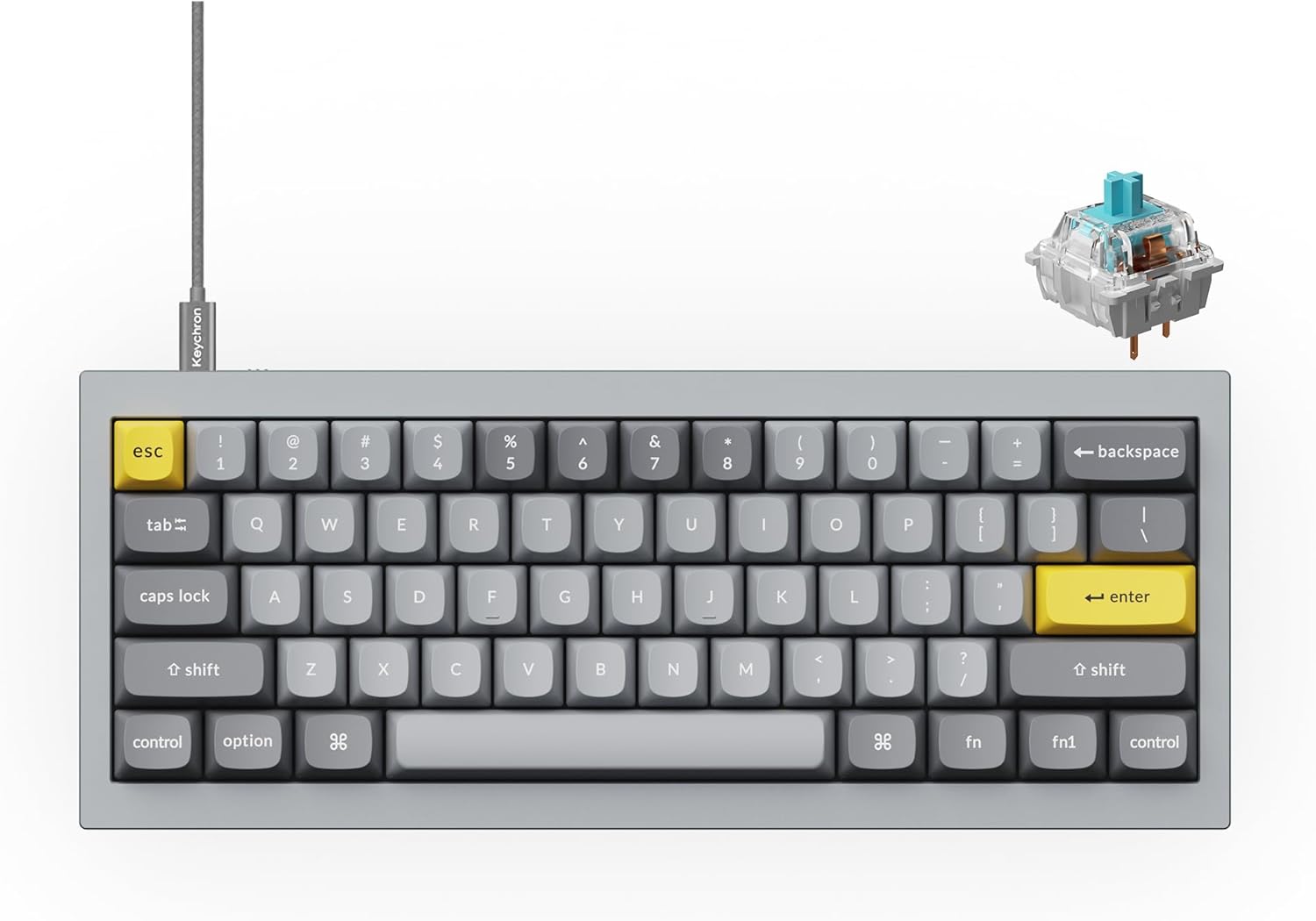 Keychron Q4 Wired Custom Mechanical Keyboard, 60% Layout QMK/VIA Programmable Macro with Hot-swappable Gateron G Pro Blue Switch Double Gasket Compatible with Mac Windows Linux (Gray)