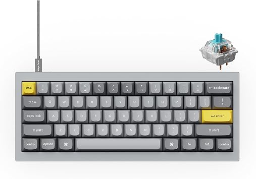 Keychron Q4 Wired Custom Mechanical Keyboard, 60% Layout QMK/VIA Programmable Macro with Hot-swappable Gateron G Pro Blue Switch Double Gasket Compatible with Mac Windows Linux Gray