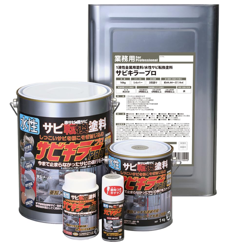 Amazon.co.jp: BAN-ZI サビキラー プロ 1KG シルバー 770026 : DIY 