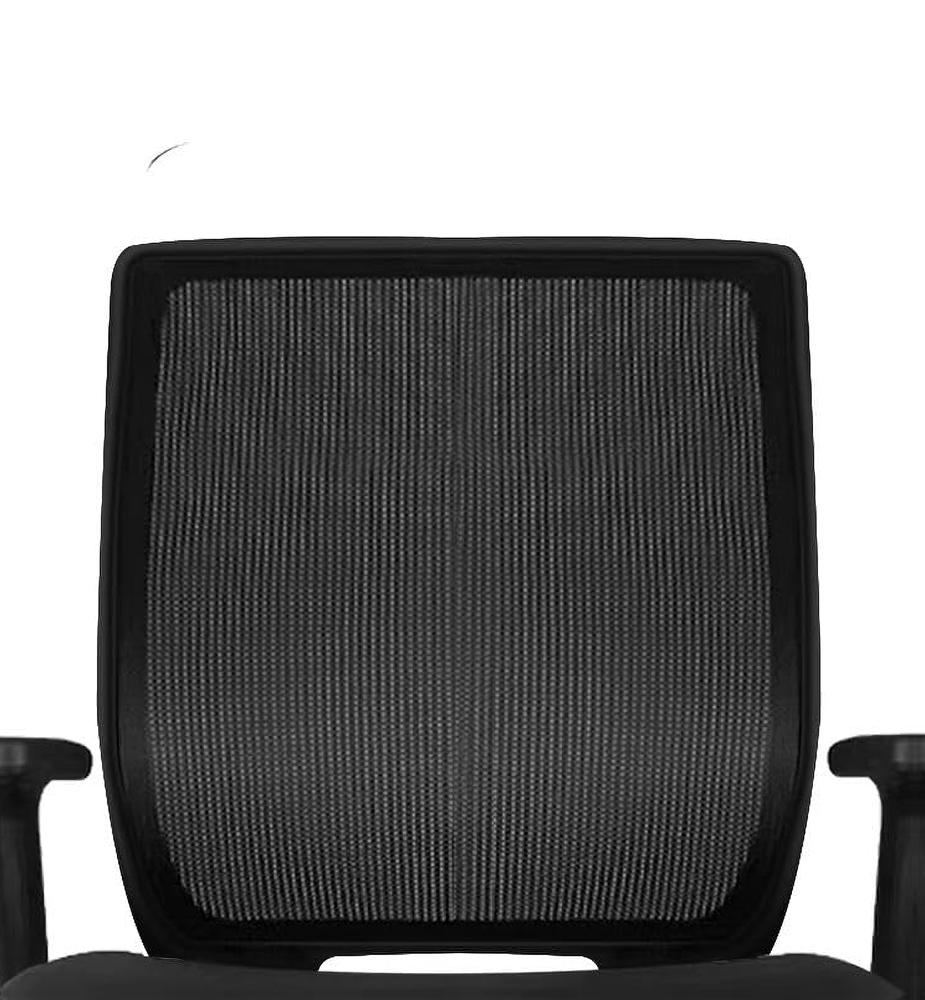 Amazon.com: Schwake Ergonomic Office Chair Home Mesh Desk Chair