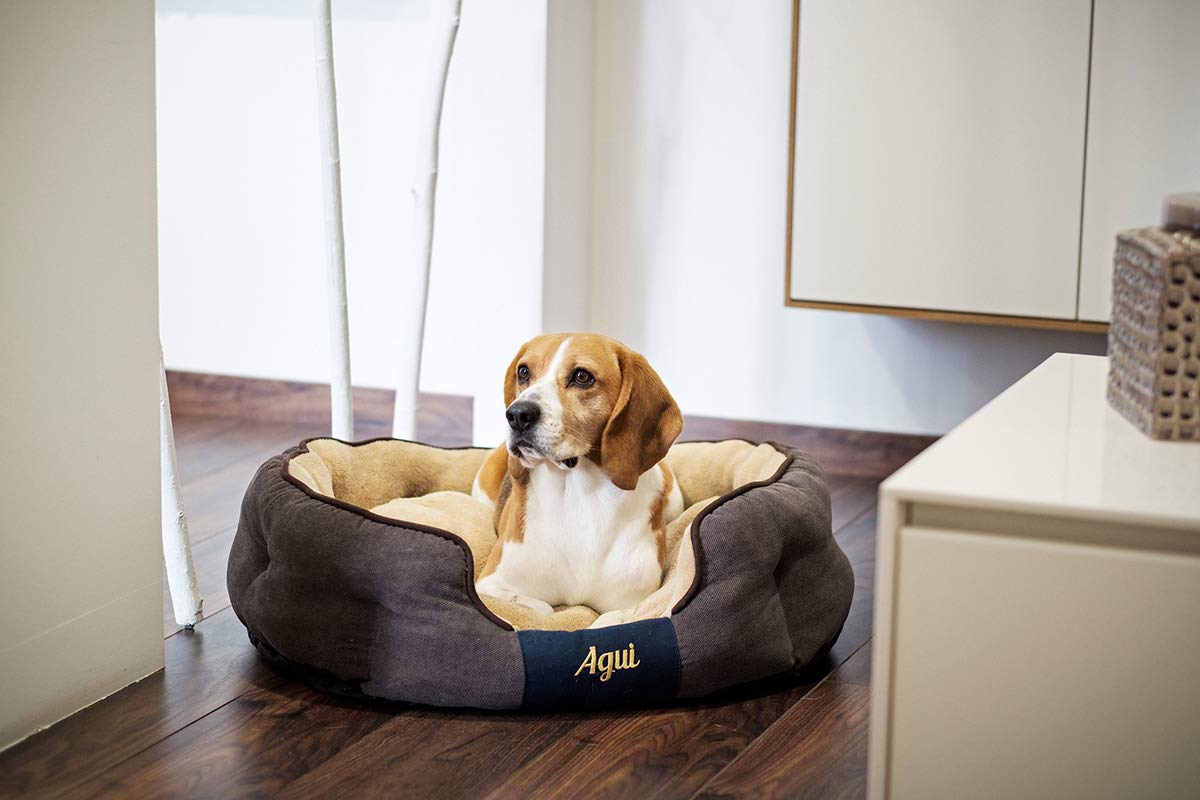 Agui AG10085 Nevada Bed Cama para Mascotas, 65 x 50 cm, Grey