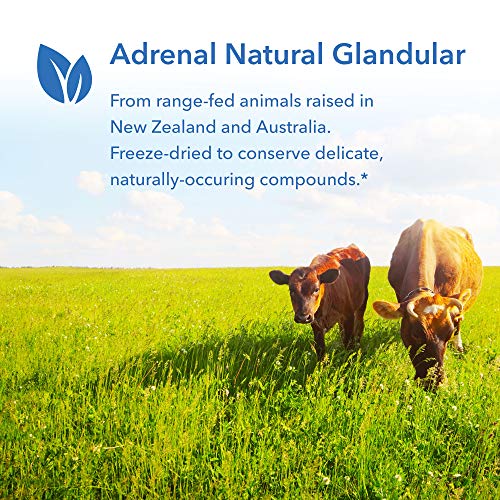 Allergy Research Group - Adrenal Glandular - Stress, Energy, Adrenal Support - 150 Vegicaps #TOP3