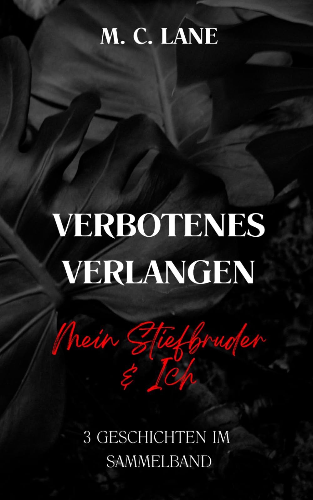 Verbotenes Verlangen – Mein Stiefbruder & ich: 3 erotische Kurzgeschichten im Tabu-Sammelband (VERBOTEN – Die Sammelbänder tabuloser Leidenschaft)
