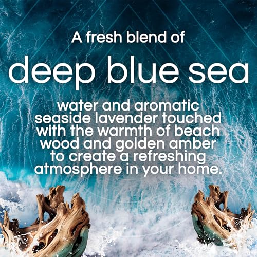 Image of Air Wick Vibrant Plug In Scented Oil Warmer + Refills, Infused with Essential Oils, Plug In Air Fresheners for Home, Deep Blue Sea & Beach Wood, Gadget + 3 ct