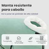 Ver la foto 4