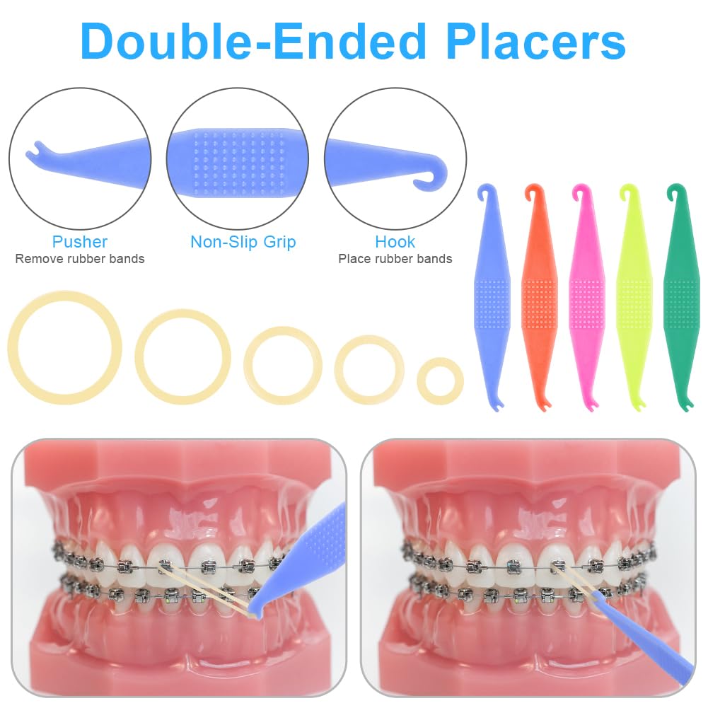 OFFCUP Elásticos Multiuso 500pcs Dentales 8/1 Pulgadas Bandas de Goma con 5 Colocadores Ortodónticos