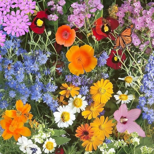 Image of Ferry-Morse Annual Bulk Wildflower Seeds, 500,000+, 1 lb