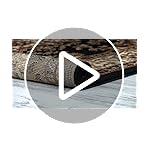 Antep Rugs Kashan King Collection Himalayas Oriental Polypropylene Indoor Area Rug (Black and Beige, 5' x 7') - Image 5