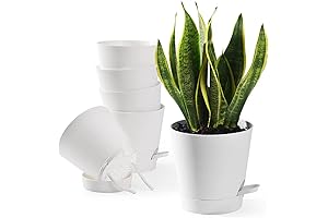 Self-Watering Pots for Effortless Plant Care: 6PCS 5 Inch Planters with Reservoir
