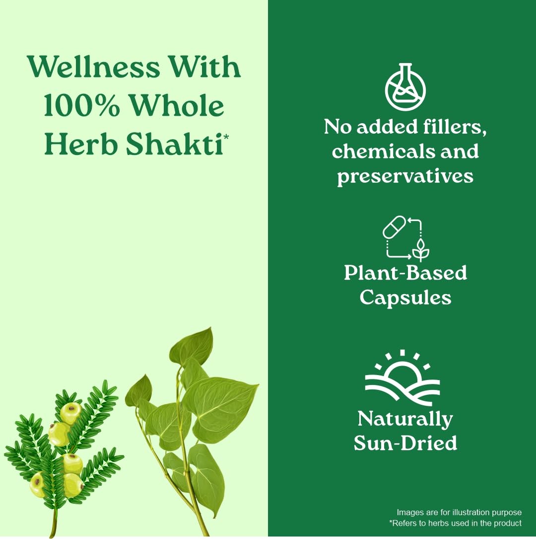 Diwali Sale A Tata Product - Organic India Weight Balance - 60 Veg Capsules, Naturally Promotes Healthy Metabolism &Amp; Reduces Fatigue, Contains Antioxidants For Better Immunity, Gmp &Amp; Npop Certified Organic 4 Diwali Sale A Tata Product - Organic India Weight Balance - 60 Veg Capsules, Naturally Promotes Healthy Metabolism &Amp; Reduces Fatigue, Contains Antioxidants For Better Immunity, Gmp &Amp; Npop Certified Organic