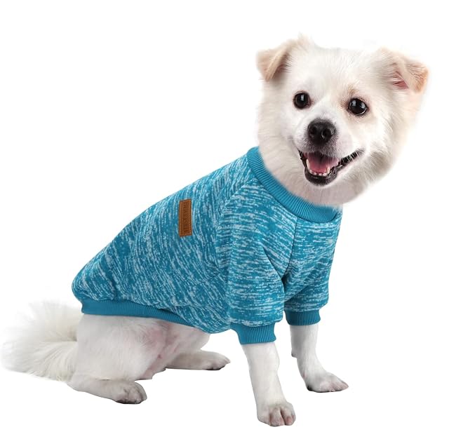 HuaLiSiJi Jerséis Perro Pequeño Jersey Mascota Pequeña Ropa Chihuahua, Es un Tejido Bastante Cómodo