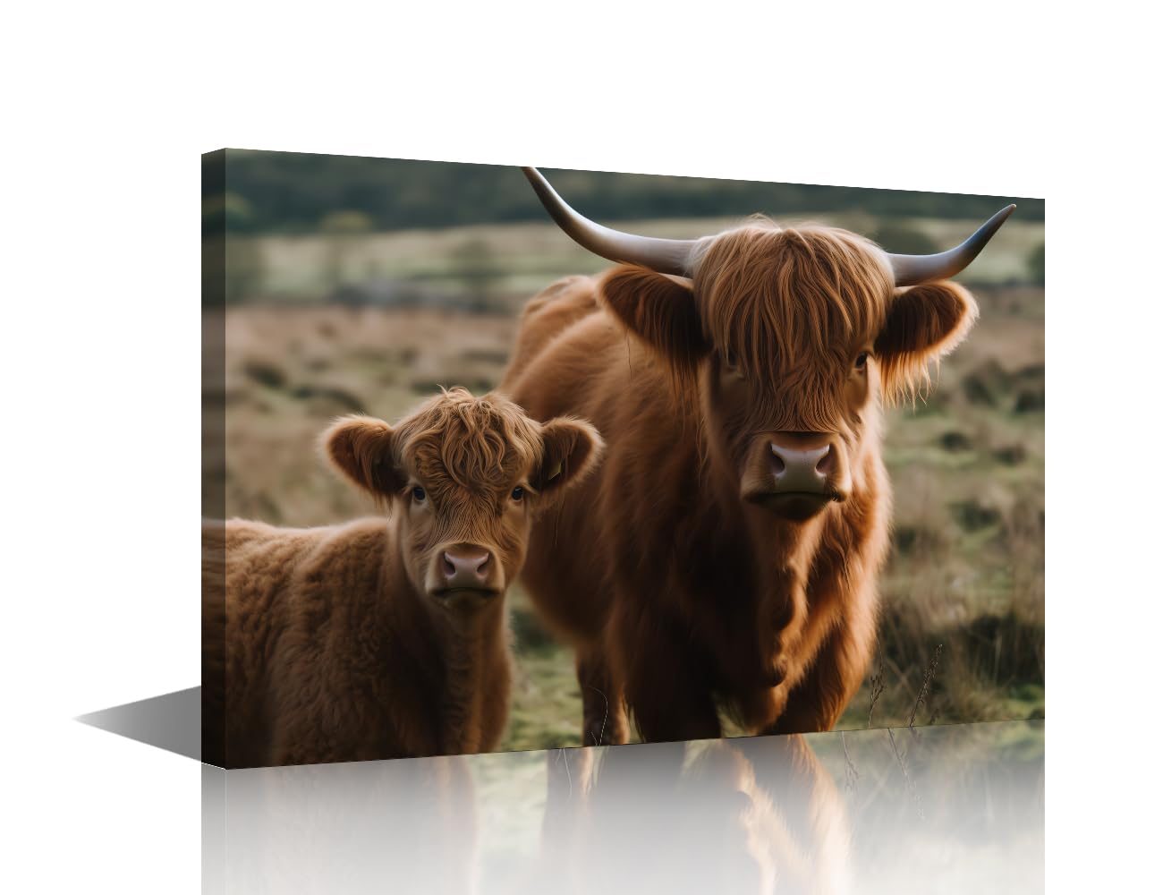 1 Panels Highland Cow and Calf in Field Picture Livestock Animal Portrait Farmhouse Wall Decor Canvas Print Bathroom Painting Cattle Artwork Kitchen Living Room Nursery Home Ready to Hang (12"Wx18"H)