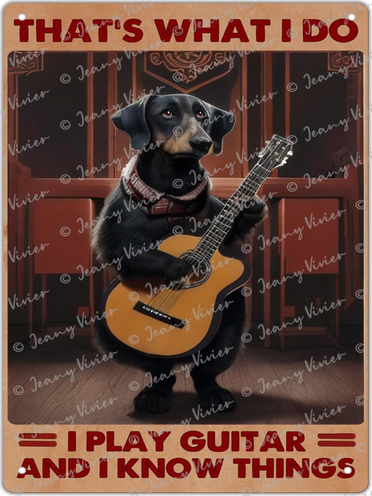 Targa In Latta Vintage 20x30 Cm – Scritta Divertente "Thats What I Do I Play Guitar And I Know Things"