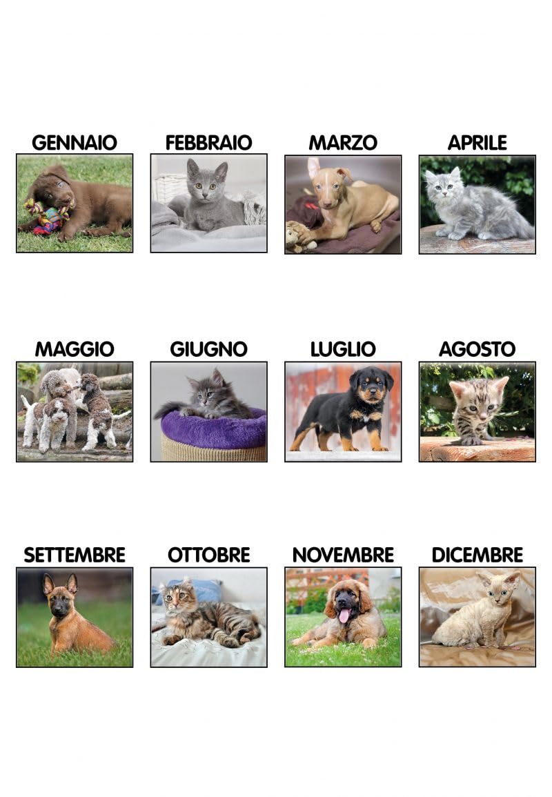 100 Calendari Da Parete 2027 - Calendario trimestrale cani e gatti - cm 14x47 - personalizzati con logo - Personalizzabile - Collezione 2027-100 pezzi