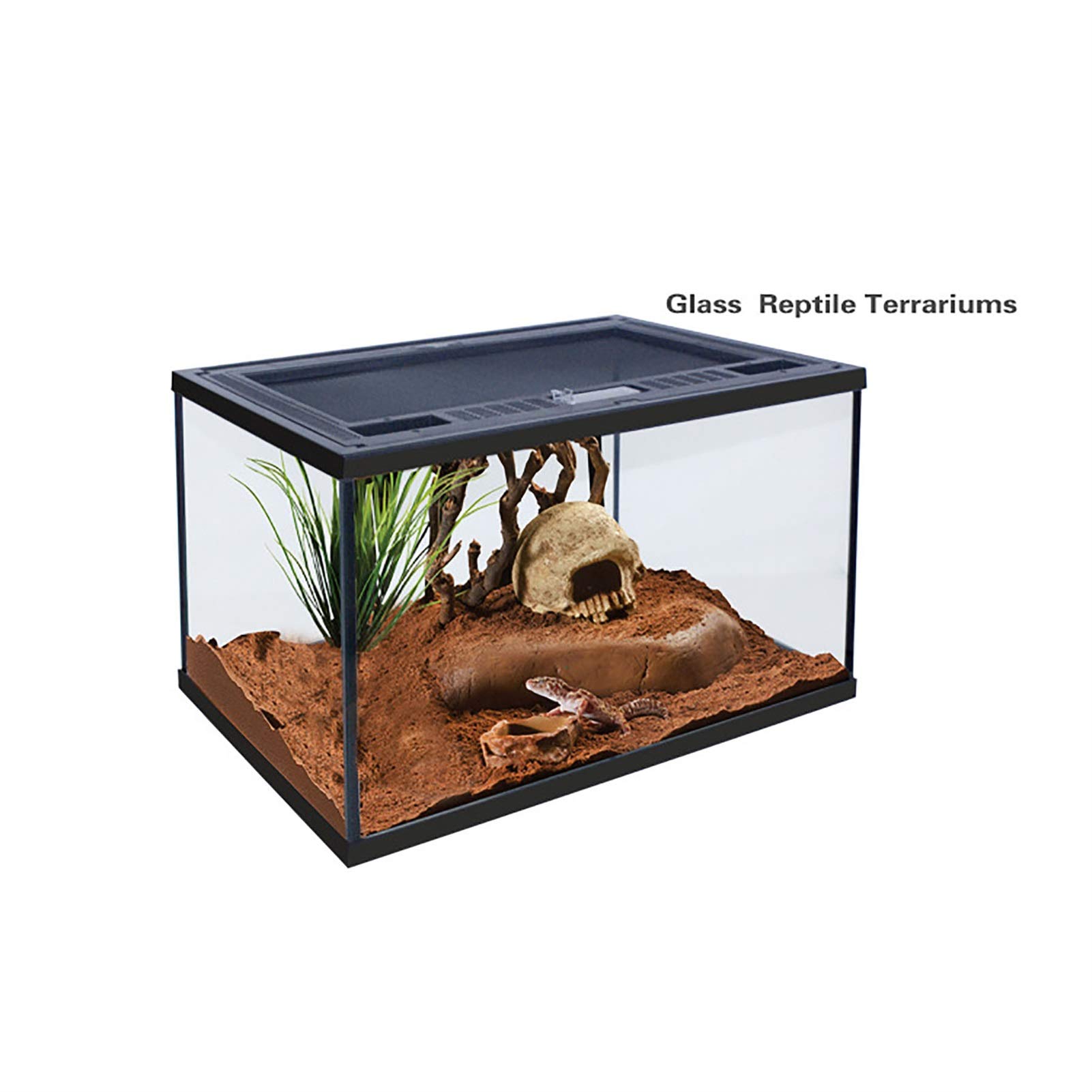 タランチュラ、奇虫、昆虫、ケージ付き タランチュラ、奇虫、昆虫、ケージ付き