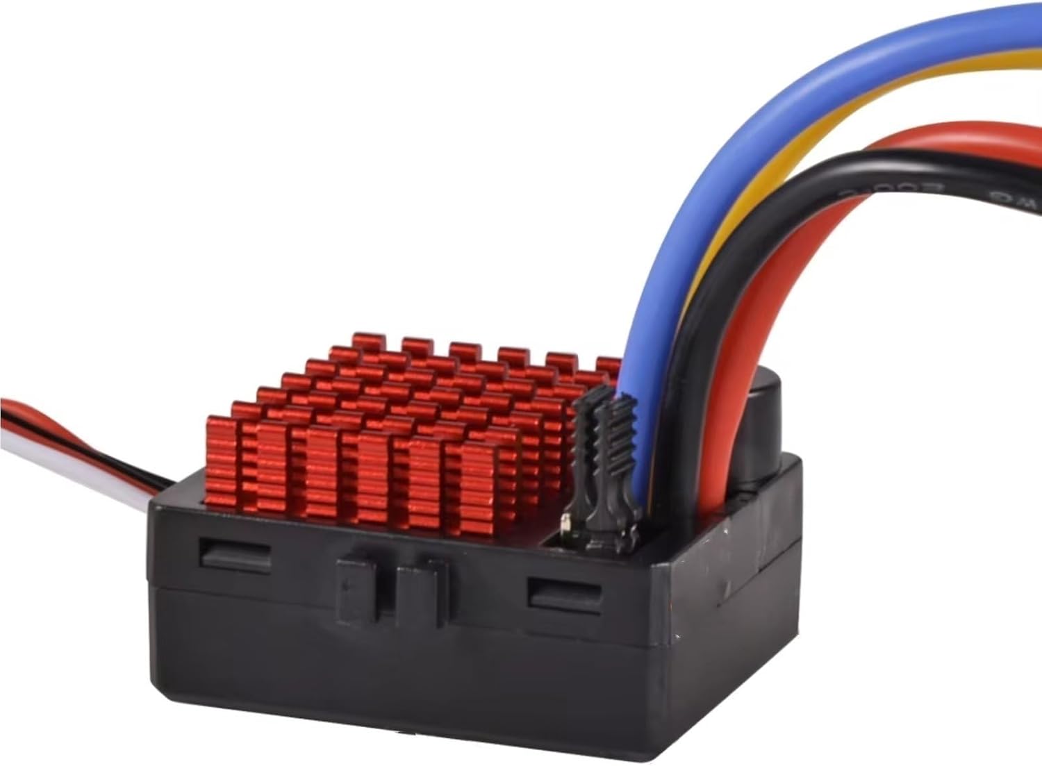 フィカス アウリクラタ エベレスト10号 特大苗木最高等級極上品極太