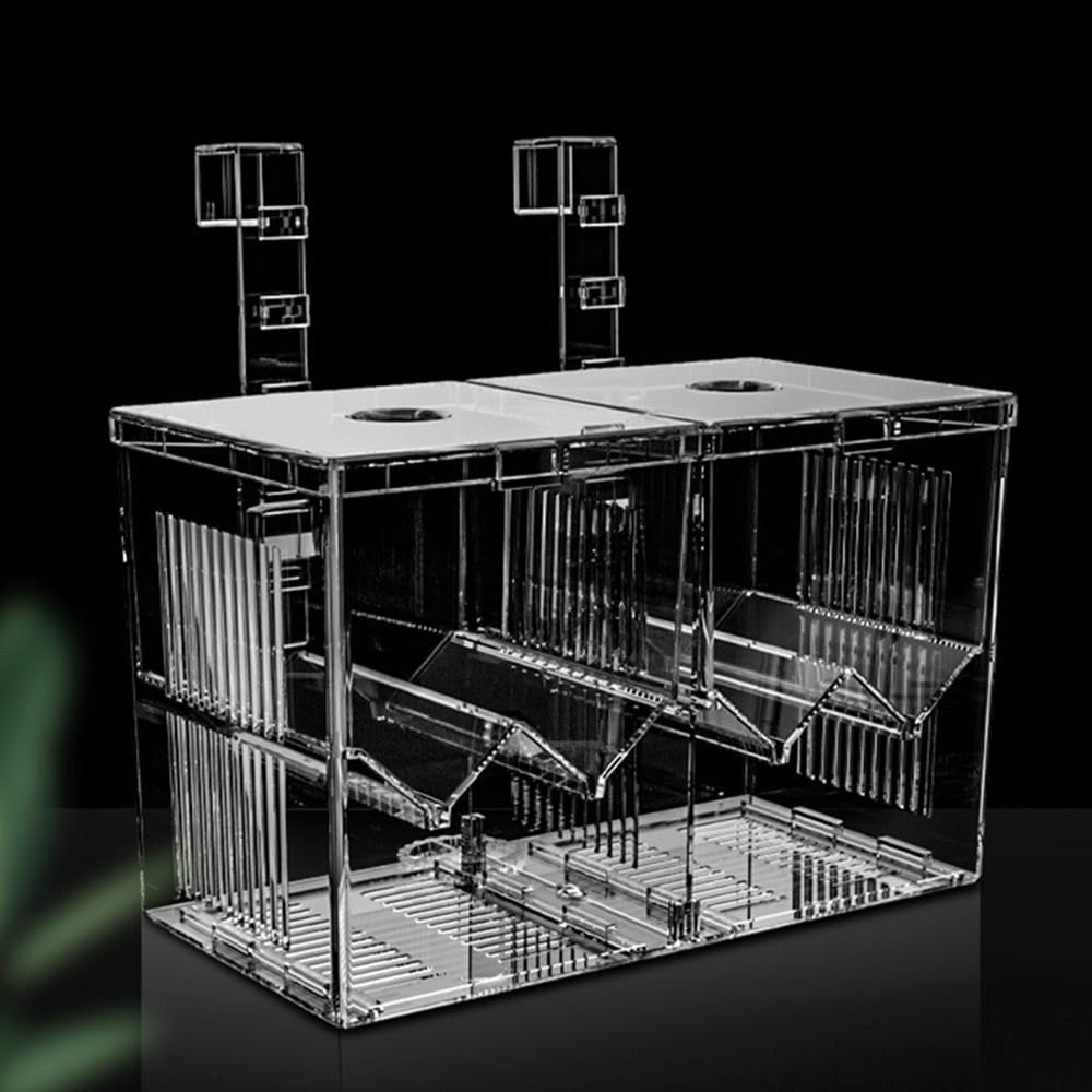 HIERYAN Aquarium Breeder Box - breeding tanks | Mubboo