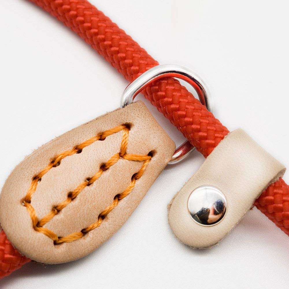Correa retráctil para perros Correa para perros Collar antideslizante para mascotas Correas para caminar Perro de nylon Cuerda para escalar montañas Tracción para mascotas para perros medianos y gra