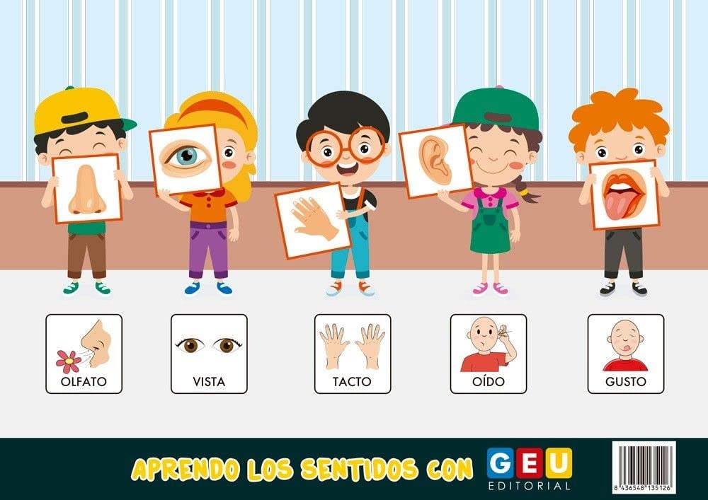 Pack Matemáticas Comprensivas 3º trimestre 2º Primaria: Cuadernos de Números 6, Cálculo 6 y Lámina Didáctica Aprendo los Sentidos| Actividades para ... Primaria (Refuerzo Matemáticas 2º Primaria)
