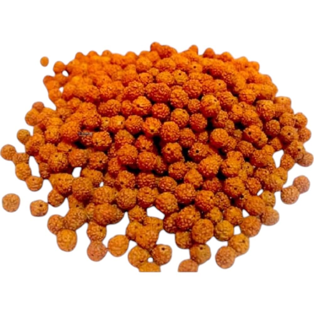 Lot of 250 Rudraksh Seeds Loose Beads, Rudraksha Beads, 9mm-picture-14