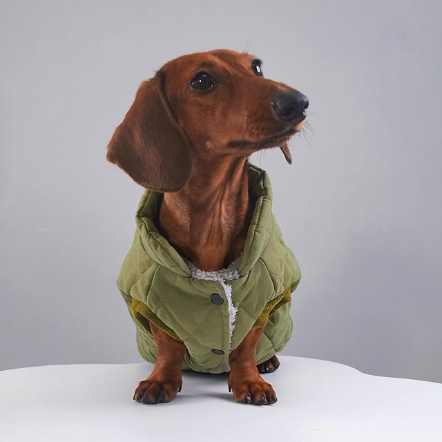 Foto 6 de 6 de UOSIA Abrigo De Invierno para Perros Salchicha, Cálido, A La Moda, con Cuello Levantado, Resistente Al Viento