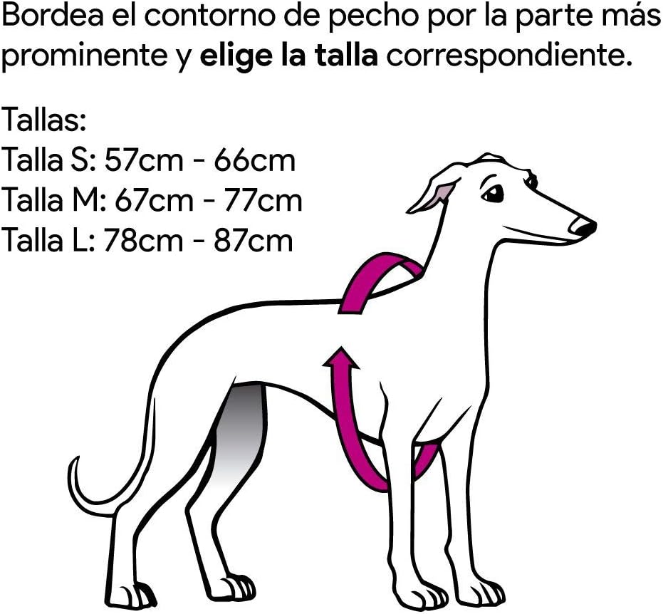 Galguita Amelie Peto Lycra for Galgo Red and Black Medium, Red-and-black - Image 3