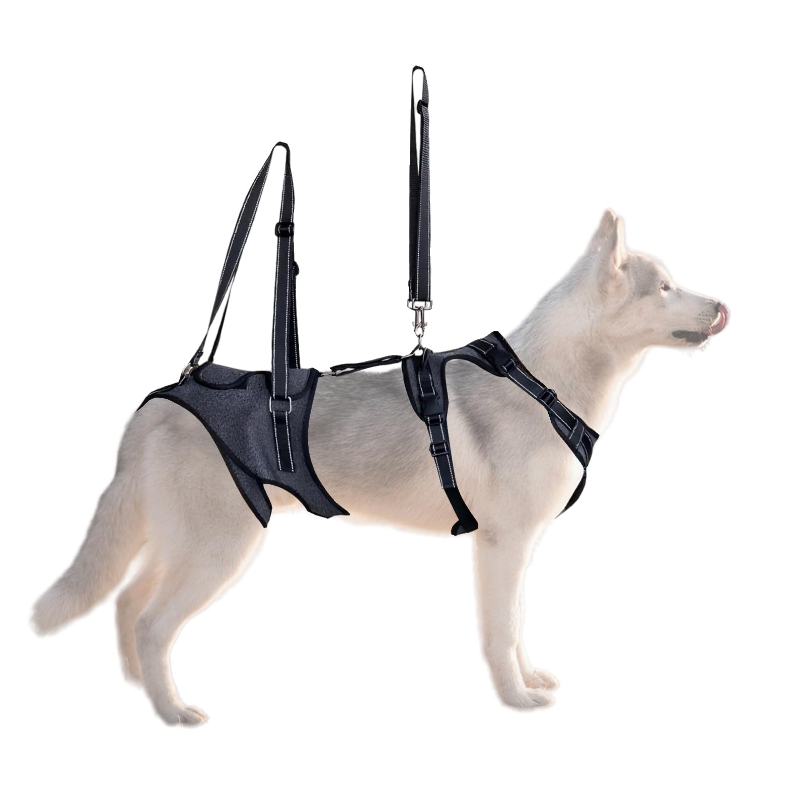 Imbracatura di sollevamento Gilet Regolabile Di Supporto Per Il Trasporto | Gilet assistenza mobilità cani con maniglia Riabilitazione Addestramento Uscite Veterinario Scale