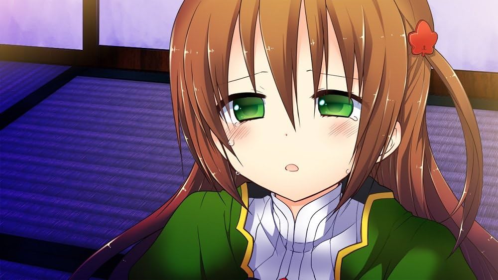 Amazon | 戦極姫4~争覇百計、花守る誓い~ (通常版) - PS3