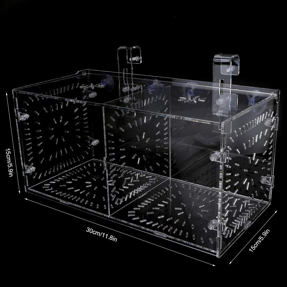 Boîte d’Isolation de Poissons en Acrylique avec Plaque d’Isolation pour Poissons, Crevettes, Clown et Guppy