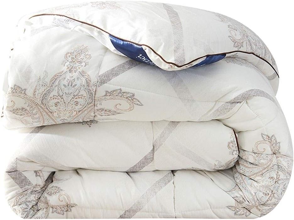 Duvet Anti Allergy Quilt Thickened Insert Bedding Soft Warm Microfiber Cotton Feel Like Down All Season Winter Single/Double for Hotel King White 180x215cm (Size : 220x240cm 5KG)