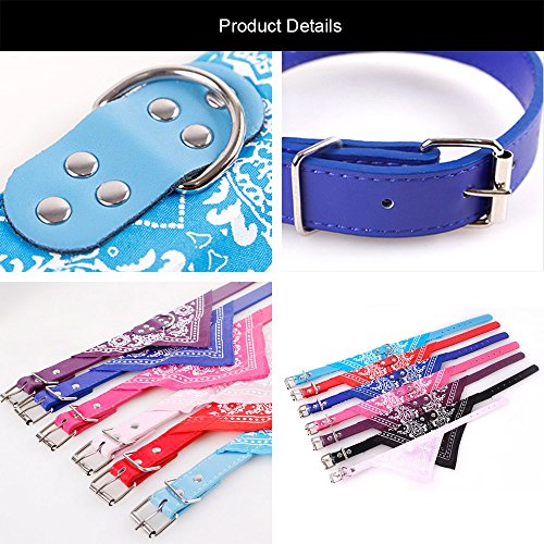 Newtensina Mode Hundebandana Halsband HundeHalsband Junge Mittel Bandana Hündchen Bandana mit Halsband für Hunde - Red - S