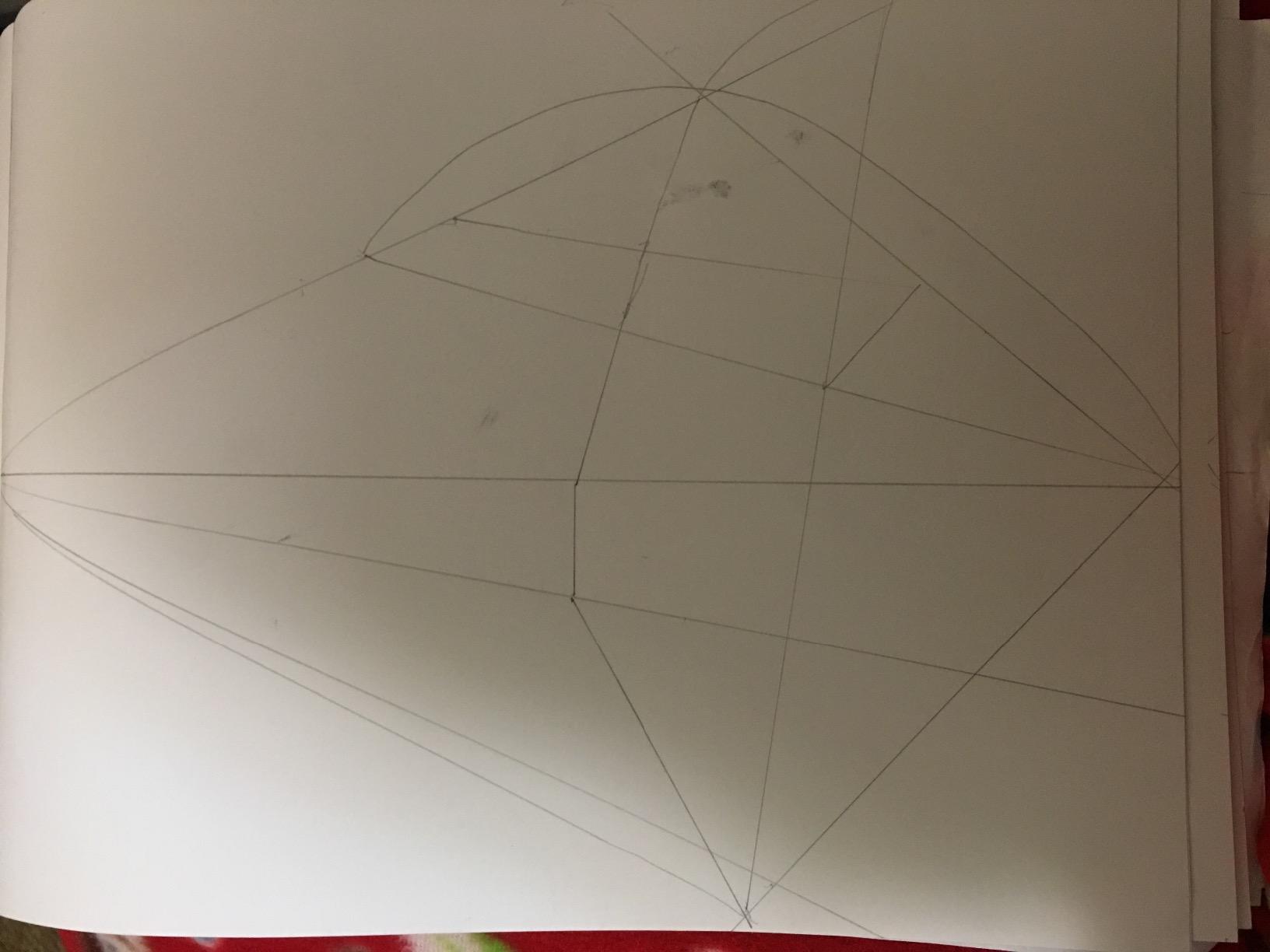 The author is a great medical doctor in surgeon field but to be honest ...